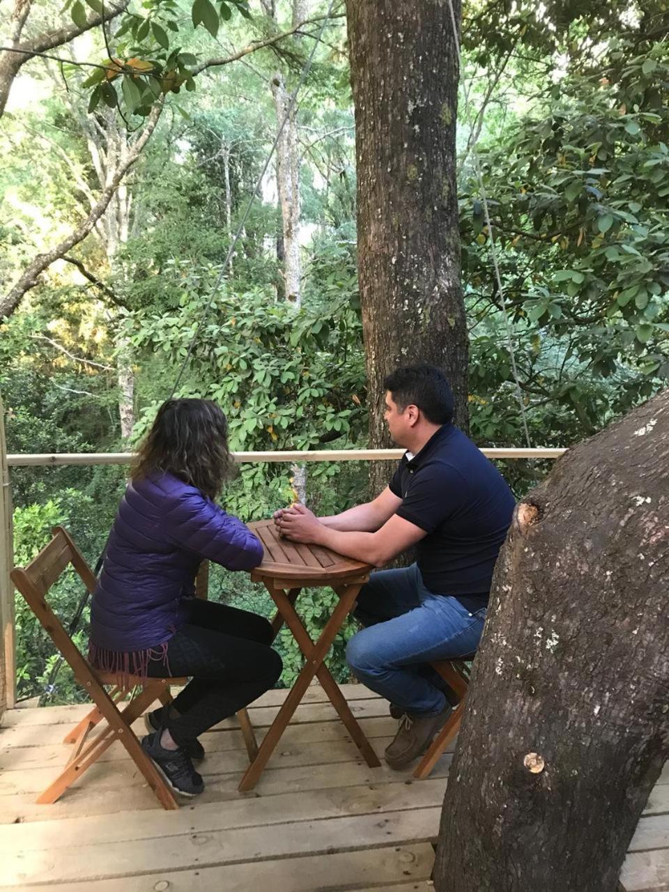 比亚里卡 Cabanas Bosques De Loncotraro酒店 外观 照片