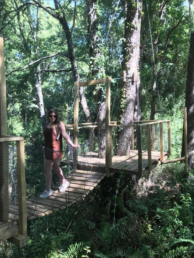 比亚里卡 Cabanas Bosques De Loncotraro酒店 外观 照片