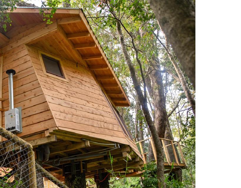 比亚里卡 Cabanas Bosques De Loncotraro酒店 外观 照片