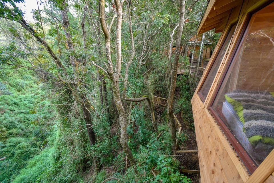 比亚里卡 Cabanas Bosques De Loncotraro酒店 外观 照片